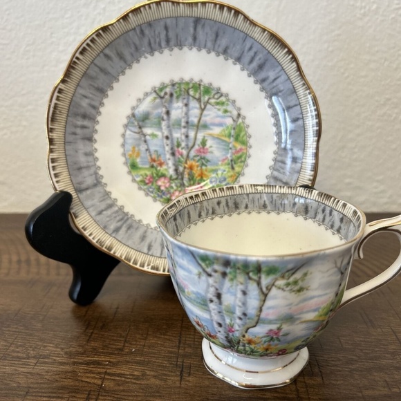 Royal Albert tea cup and saucer set - Silver Birch - Picture 1 of 3